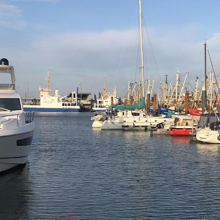 Wind Und Meer - Traumhaft An Der Nordsee ノルトダイヒ エクステリア 写真